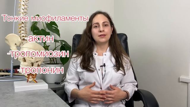 Мышечное волокно. Гистология. Мышцы.