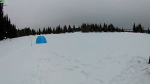 Очередная рыбалка в глухозимье на лесном пруду./Fishing on a forest pond.