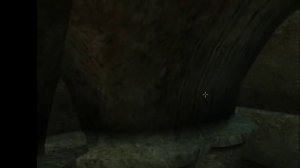 Morrowind Episode 4: Running around at the speed of slugs.