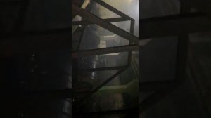 Трубный завод в Давлеканово