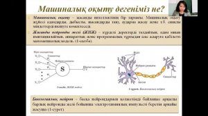 Жасанды интеллект 11 сынып информатика