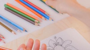 Рисуем цветными карандашами весенние цветы. Основные моменты в рисовании карандашами.