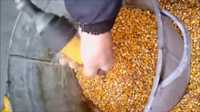 Лущилка кукурудзы своими руками! смотреть онлайн