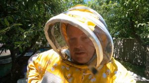 Подсадка пчеломатки