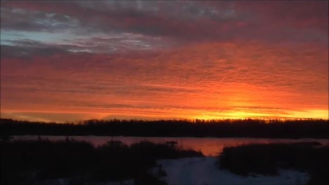 Охота на лося на таежной заимке смотреть онлайн