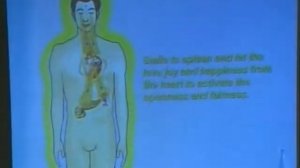 Даосские практики. Мантэк Чиа. Целительная любовь