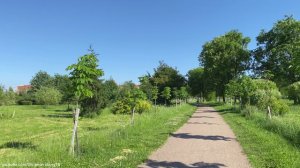 Сквер Спасателей у метро Бухарестская