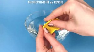 Почему корабль не тонет в воде? Опыт с плотностью "Корабль из пластилина"