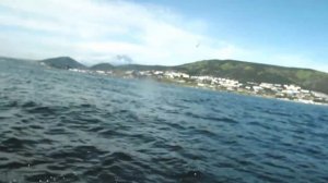 Камчатка Ловля крабов Краб-стригун Kamchatka Catching crabs Snow crab