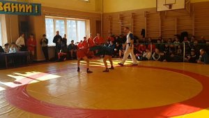 Самбо Хабаровск