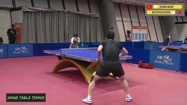 20min Training Session of Ma Long and Fan Zhendong | 马龙与樊振东训练