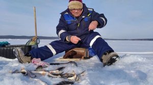 Сев.Каз.Обл.Всех с праздником! 23.2.23.