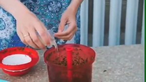 Оригинальная заправка для салата в измельчителе "Экстра-Шеф" от Tupperware