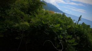 Замок принца Ольденбургского с детьми. Гагра Абхазия