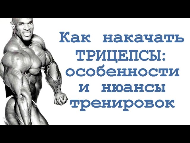 Как накачать трицепсы: особенности и нюансы тренировок