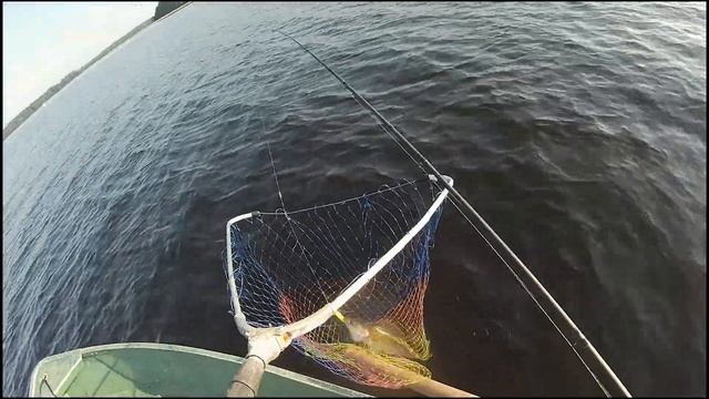 Троллинг 2021 для начинающих, по селигерски -рыбалка для ленивых .Но попотеть все равно пришлось. смотреть онлайн