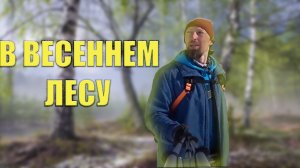 В весеннем лесу