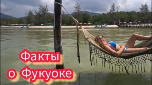 Как нас обокрали на Фукуоке. Ночной рынок, Занимательные факты о Вьетнаме. Лучшие Экскурсии