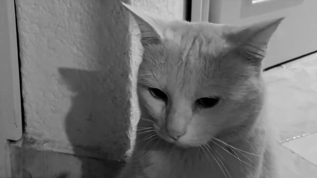 Til Kingdom Come - Coldplay смотреть онлайн