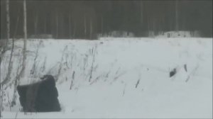 Как стреляет Орсис 120 по вилке на 300 метров?!! Зима...