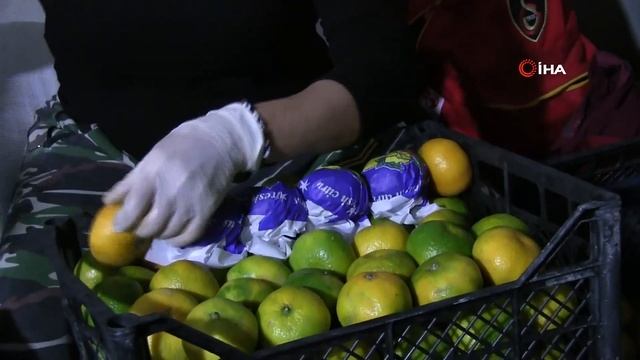 Doğal İlaç Olarak Kabul Edilen Satsuma Cinsi Mandalinalar 3 Ülkeye İhraç Ediliyor смотреть онлайн