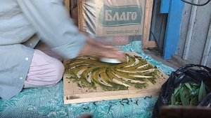 Иван-чай. Скручивание листьев на станке.