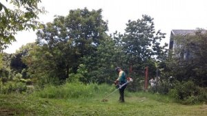 Stihl fs 350