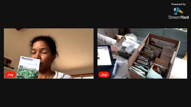 Seed Audit смотреть онлайн