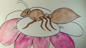 Муравьи опыляют цветы