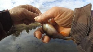 Весенняя ловля на боковой кивок.