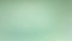 Яблоня укоренение черенков необычным способом.Яблоня укоренение черенков на яблони