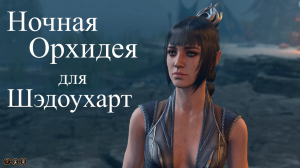 Baldur's Gate 3 - Полуорк варвар Орхидея для Шэдоухарт