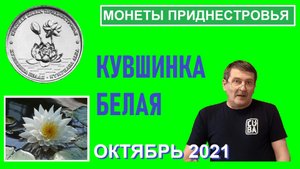 Монета: Кувшинка белая / памятные монеты Приднестровья