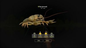 РУССКАЯ РЫБАЛКА 4 | ТРОФ. РАК | РЕКА БЕЛАЯ