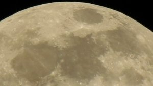 Охота на голубчиков