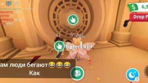 НОВЫЙ PET SHOP!!! КАК НАЙТИ КЛЮЧ ОТ ДВЕРИ в адопт ми