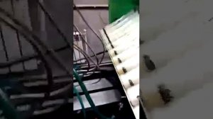 проверка работы ТНВД JCB