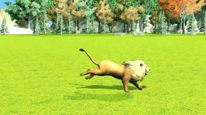 Animal Race wild cats Running Race lion tiger cheetah jaguar and leopard