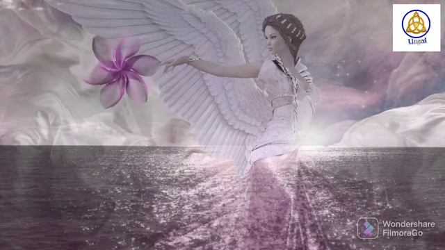 Angel Numbers 219 Meaning | Decoded Angel Numbers | Mysterious Angel Numbers | Angels Kaun Hai?