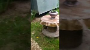 Как сделать дорожку из щебня гравия.