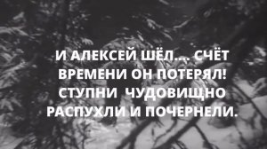 Буктрейлер по книге Бориса Полевого «Повесть о настоящем человеке».