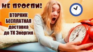 Вторник - бесплатная доставка до ТК Энергия. Не проспи!