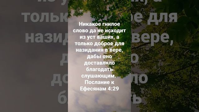 Никакое гнилое слово да не исходит из уст ваших,
Послание к Ефесянам 4:29