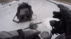 Using Garmin Panoptix To Catch Crappies While Ice Fishing ( Bonus Rare Catch)