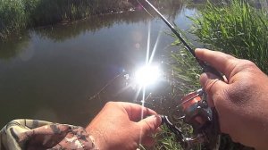 Карась на спиннинг Ловля на микроречке