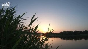 БОЛЬШОЙ УЛОВ VLOG: Судак на малька. Июнь 2019.