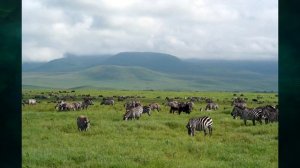 §27 "Регионы Африки: Центральная, Восточная и Южная Африка", География 7 класс ч.1, Домогацких