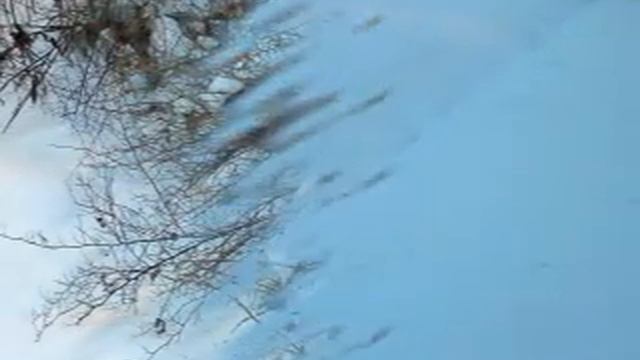 Зима Королева