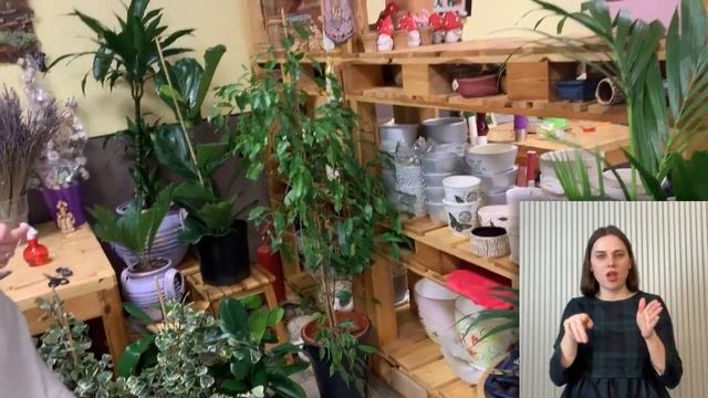 Цветочный магазин { СУРДОПЕРЕВОД } Место, где продают цветы или особая атмосфера важна смотреть онлайн