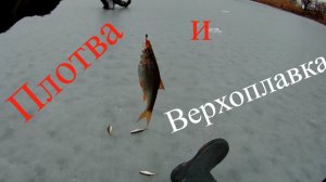 Ловля плотвы со льда на степных речках  Краснодарского края.